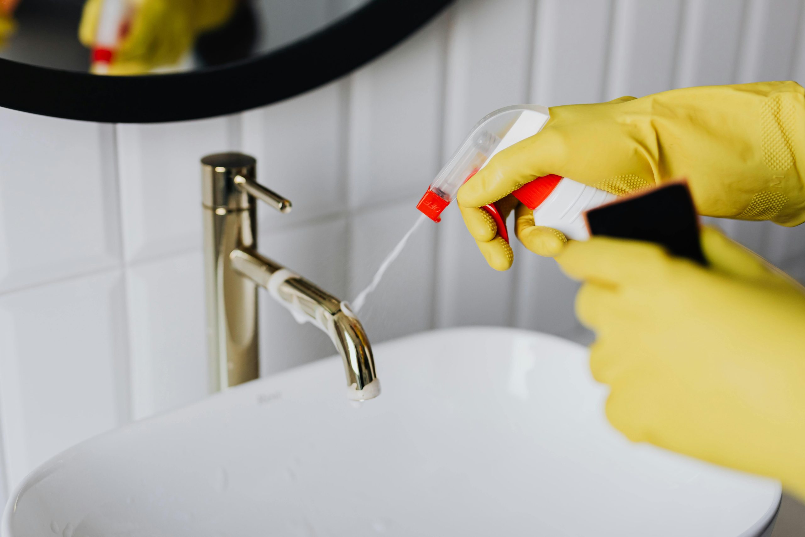 Cleaning Guide