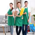 carpet cleaning services in las vegas