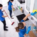 Premier Eco-Cleaning Service