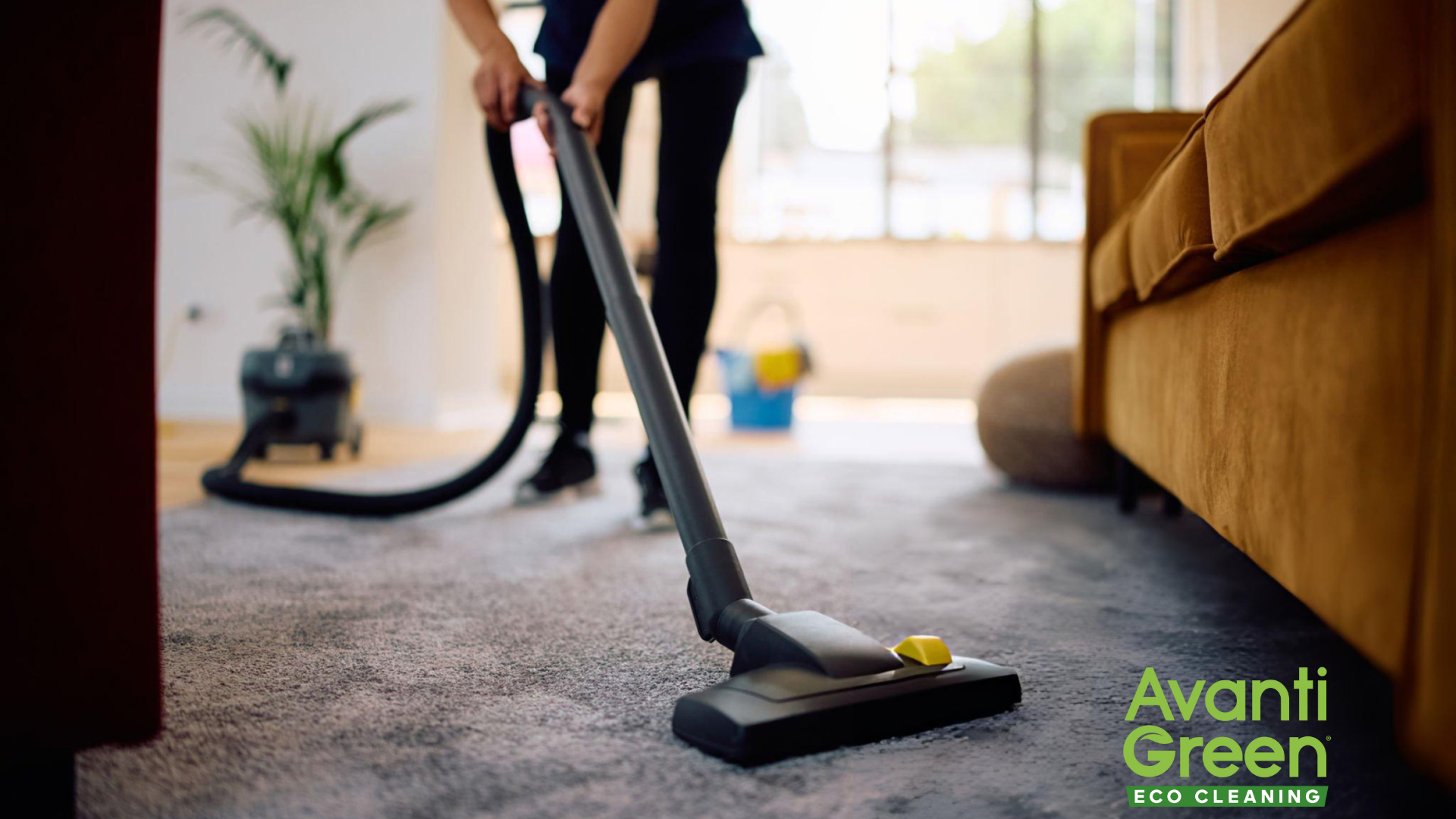How Often Should You Schedule a Carpet Cleaning in Las Vegas?